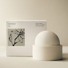 West Elm Homescent Collection - Jasmine &amp; Lily