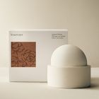West Elm Homescent Sphere Diffuser - Rosewater