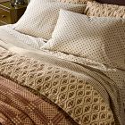 Pierce &amp; Ward Tossed Clover Sheet Set