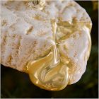 Glass Brie Cheese Ornament