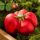 Glass Tomato Ornament