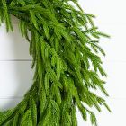 Pre-Lit Faux Natural Norfolk Pine Wreath (24")