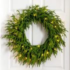 Pre-Lit Faux Natural Norfolk Pine Wreath (24")