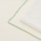 Dino Baby Blanket