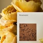 West Elm Homescent Single Wick Candle - Rosewater
