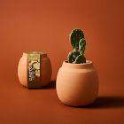 Modern Sprout Modern Terracotta Grow Kit