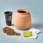 Modern Sprout Modern Terracotta Grow Kit
