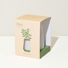 Modern Sprout Tapered Tumbler Grow Pot