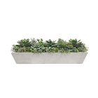 Faux Potted Succulents w/ Planter