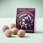 Modern Sprout Bespoke Blooms Seed Balls (Set of 5)