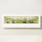 Modern Sprout Smart Landscape Growframe