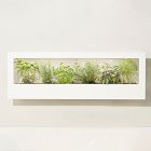 Modern Sprout Smart Landscape Growframe