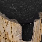 Petrified Wood Side Table (12")