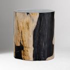 Petrified Wood Side Table (12")