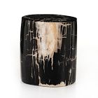 Petrified Wood Side Table (12")