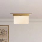 Mineral Flush Mount (11")