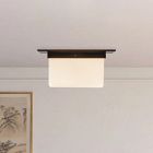 Mineral Flush Mount (11")