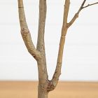Faux Flowering Dogwood Tree (5'&ndash;7')