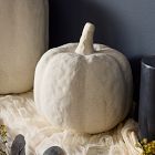Shape Studies Ceramic Pumpkins