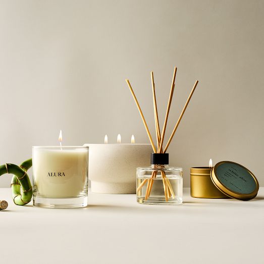 Alura Homescent Collection - White Aloe | West Elm