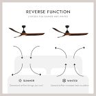 Baylor Dimmable LED Ceiling Fan (60")