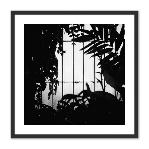 Greenhouse Shadows Framed Wall Art by Annie Spratt by West Elm