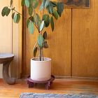 Reed Multipurpose Plant Stand