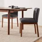 Alternate Image