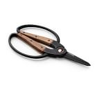 Garden Scissors
