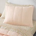 Reflections Comforter &amp; Shams