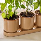 Bodie Planter Collection