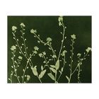 Green Garden Wall Art