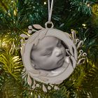Botanical Frame Ornament