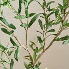 Faux Potted Olive Tree (5')
