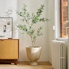 Faux Potted Olive Tree (5')