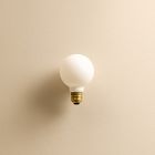 Tala G24 6W 2000&ndash;2800K E26 Sphere II Lightbulb (Set of 4)