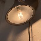 Tala G9 4W 2700K Lightbulb (Set of 10)