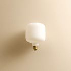 Tala T39 6W 2700K E26 Oblo Lightbulb (Set of 2)