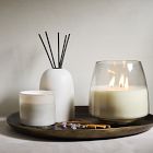 Rove Homescent Collection - Hidden Habitat