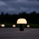 Harvest Moon Indoor/Outdoor Table Lamp (9")