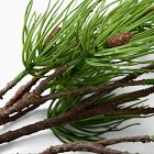Faux Pine Branch