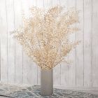 Dried Ivory Ruscus Branch