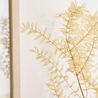 Dried Ivory Ruscus Branch