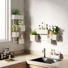 Cubiko Wall Planter