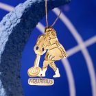 Metal Zodiac Ornament - Aquarius