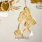 Metal Zodiac Ornament - Aquarius