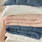 Reflections Comforter &amp; Shams