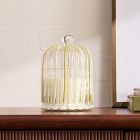 Striped Cloche Candles - Slopeside Pine