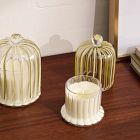 Striped Cloche Candles - Slopeside Pine