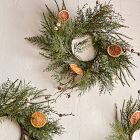 Faux Winter Citrus Wreath (Set of 3)